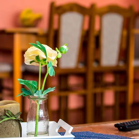 Apartman Selma Apartment
